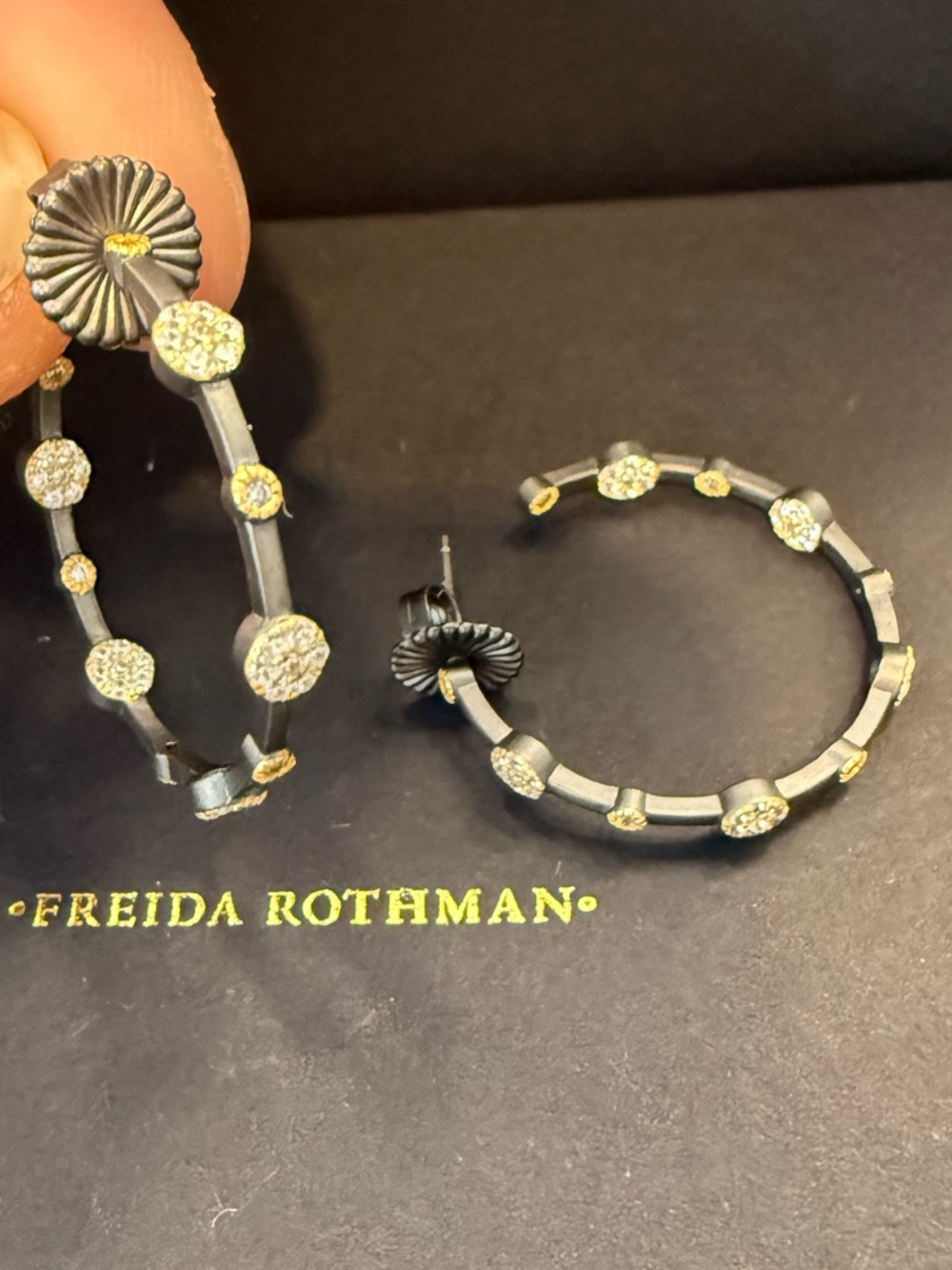 *NEW*Freida Rothman* SIGNATURE DISC STATION HOOP